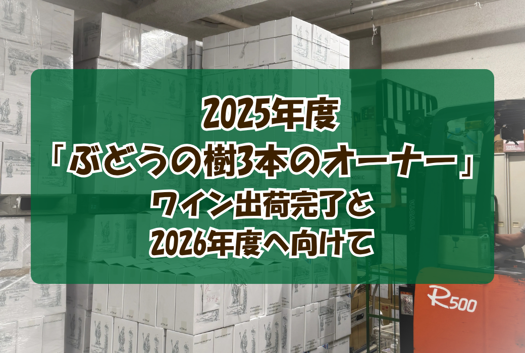 【ご報告】2025年度「ぶどうの樹3本のオーナー」ワイン出荷完了と、2026年度へ向けて